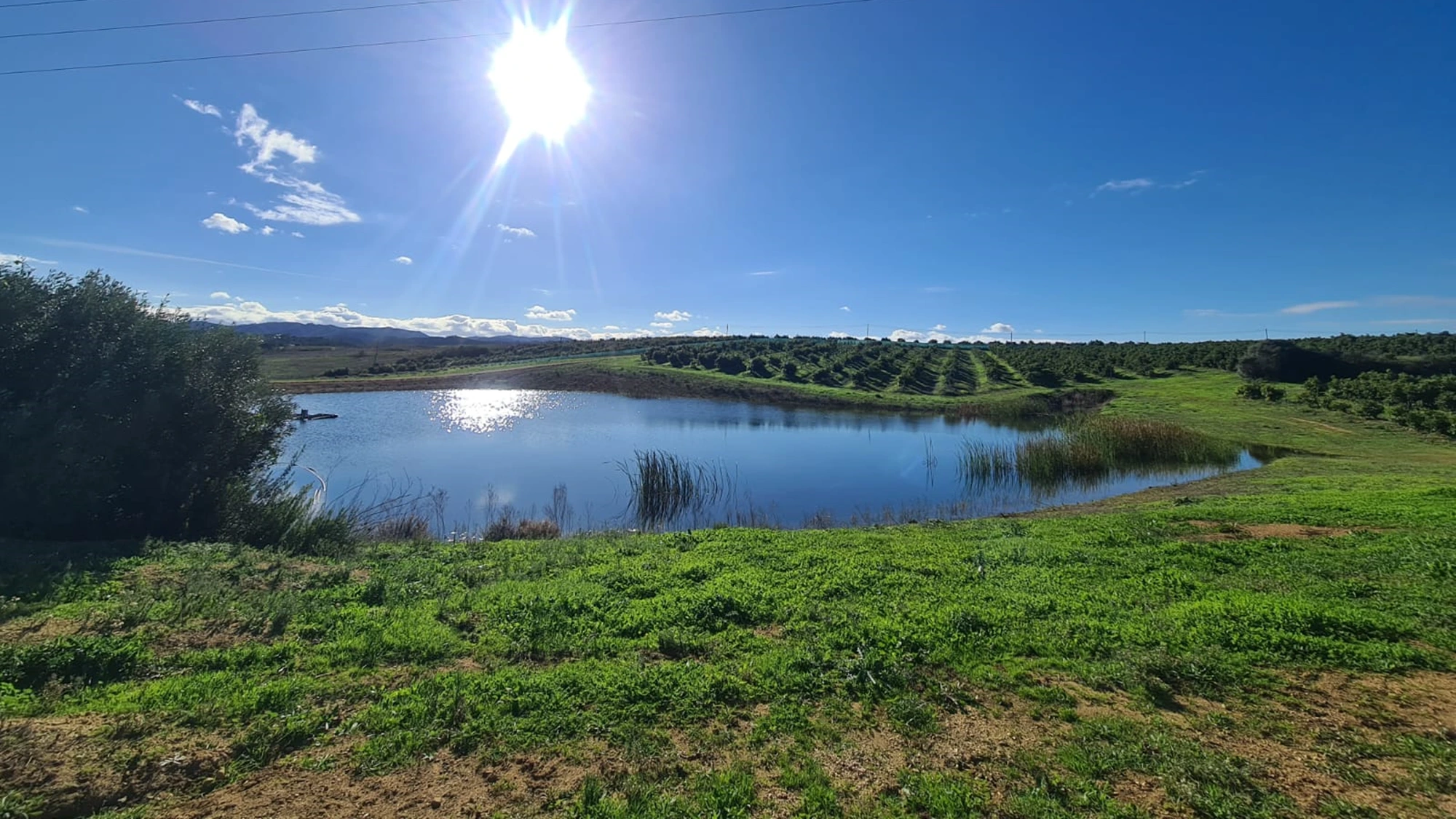 Inspire Farms
